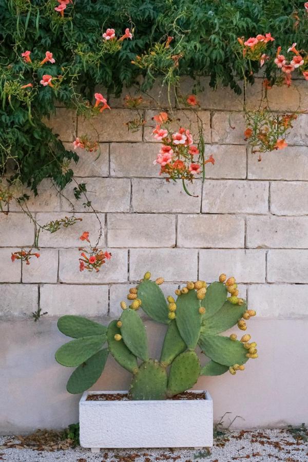 Terra D'otranto Bed & Breakfast